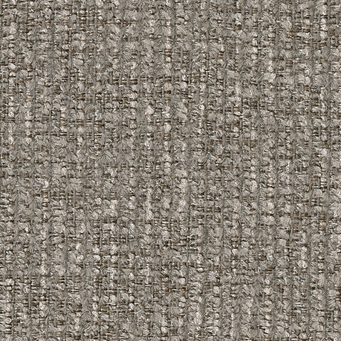 Hoyne Park Living Room