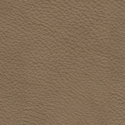 Veronella Living Room