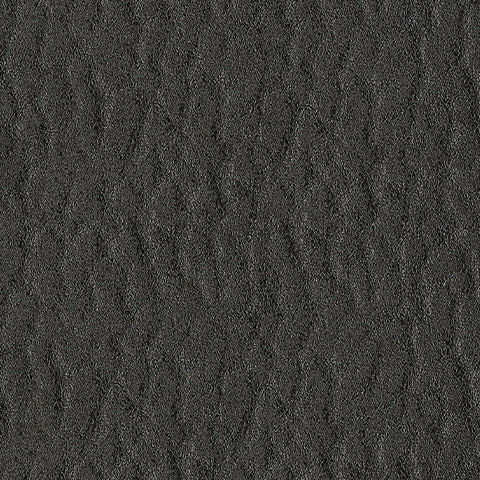 Revived and Restored Living Room