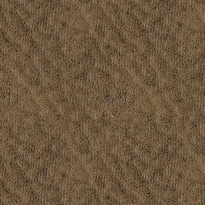 Revived and Restored Living Room