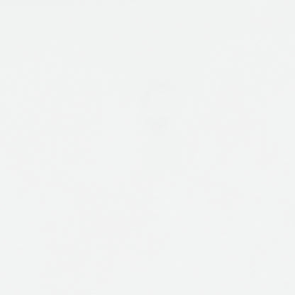 Bostwick Shoals Bedroom