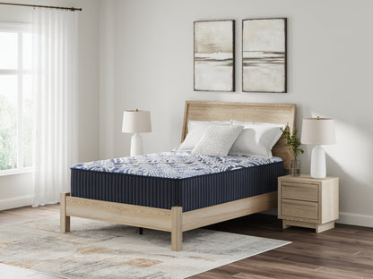 Pines Furniture Outlet - Ashley Furniture - Firm Luxe 2.0 Mattresses - California King / Blue - M49651