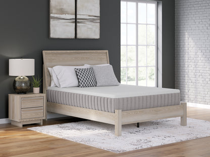 Pines Furniture Outlet - Ashley Furniture - Terra Sleep Medium Mattresses - California King / White - M52351
